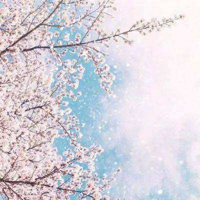 竞彩足球模拟投注下载